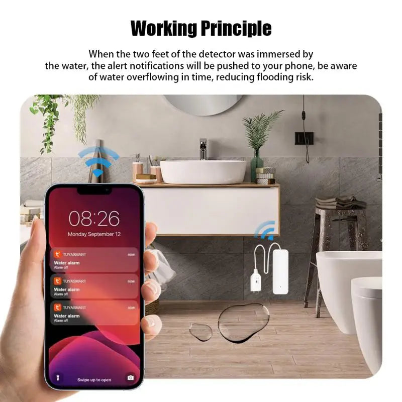 Smart Water Leak Sensor
