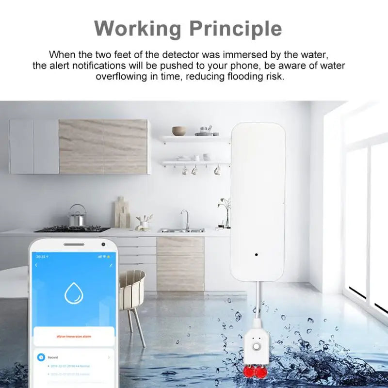 Smart Water Leak Sensor